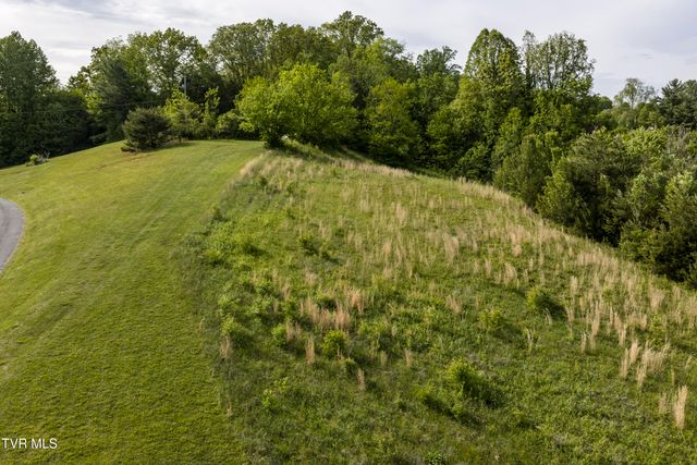 Tbd Old Lewis Road, Johnson City, TN 37601