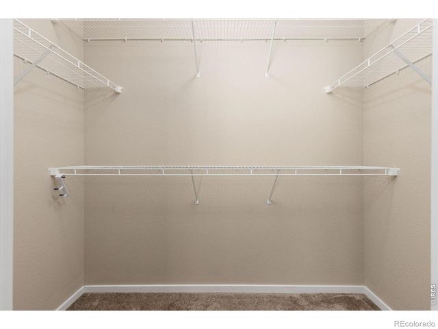 2980 Kincaid Drive 105, Loveland, CO 80538
