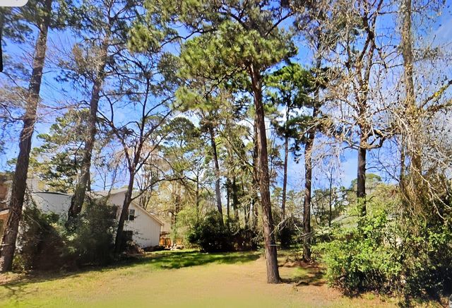 3303 Hemingway Drive, Montgomery, TX 77356