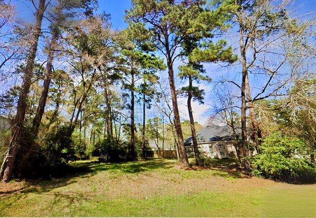 3303 Hemingway Drive, Montgomery, TX 77356