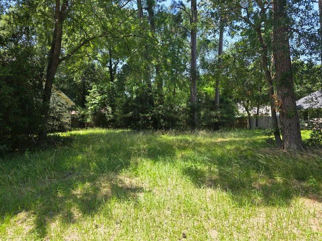 3303 Hemingway Drive, Montgomery, TX 77356