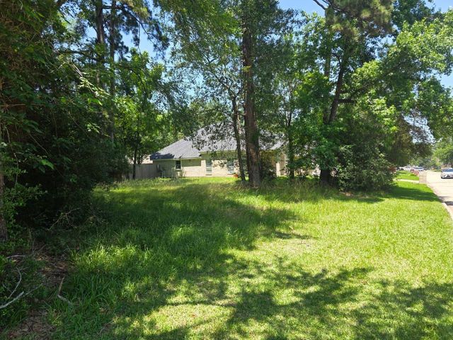 3303 Hemingway Drive, Montgomery, TX 77356