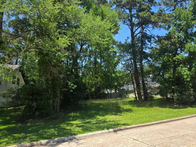 3303 Hemingway Drive, Montgomery, TX 77356
