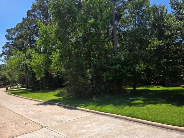 3303 Hemingway Drive, Montgomery, TX 77356