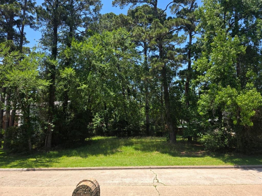 3303 Hemingway Drive, Montgomery, TX 77356