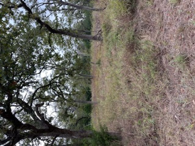 244 Orange, Somerville, TX 77879