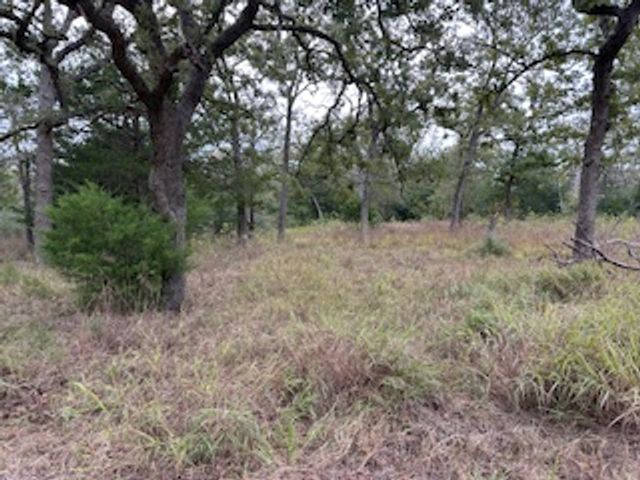 244 Orange, Somerville, TX 77879