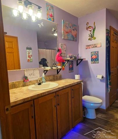 20 E Mier Road, Sanford, MI 48657