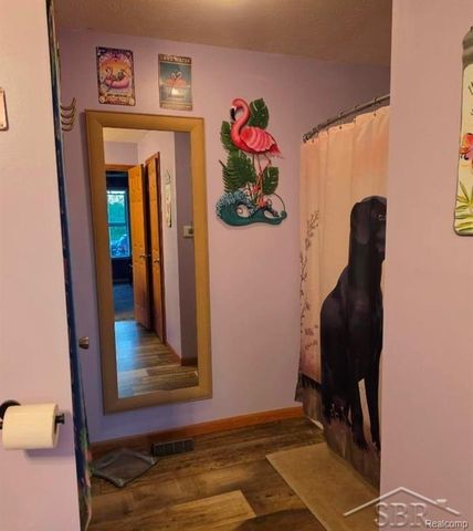 20 E Mier Road, Sanford, MI 48657