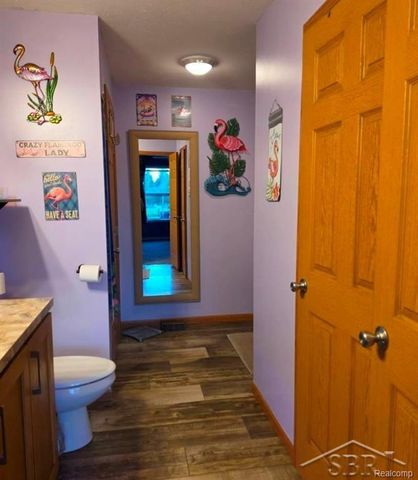 20 E Mier Road, Sanford, MI 48657