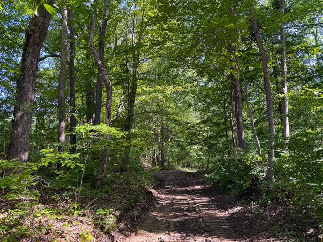 0 Wolf Hill Road, (Tract 1 Wolf Hill), Mcarthur, OH 45651