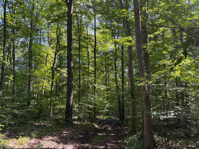 0 Wolf Hill Road, (Tract 1 Wolf Hill), Mcarthur, OH 45651