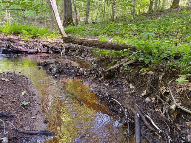 0 Wolf Hill Road, (Tract 1 Wolf Hill), Mcarthur, OH 45651