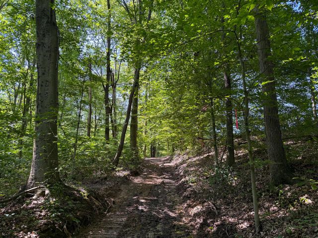 0 Wolf Hill Road, (Tract 1 Wolf Hill), Mcarthur, OH 45651