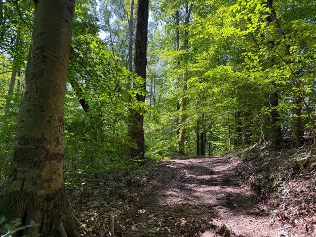 0 Wolf Hill Road, (Tract 1 Wolf Hill), Mcarthur, OH 45651