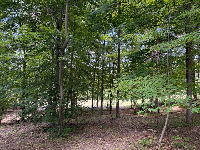 0 Wolf Hill Road, (Tract 1 Wolf Hill), Mcarthur, OH 45651