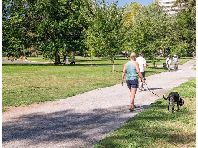 1175 N Emerson St 212, Denver, CO 80218