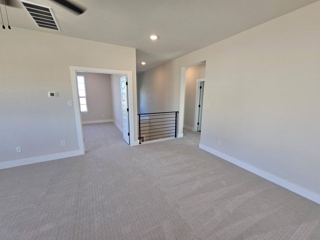 19504 Judys VW, Pflugerville, TX 78660