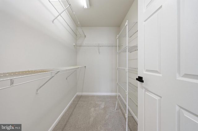 169 MIDSUMMER DR, Frederick, MD 21702