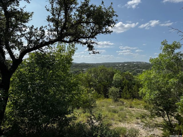 LOT 1 HILLSIDE DRIVE, Spring Branch, TX 78070