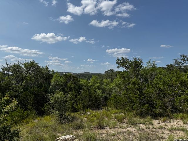 LOT 1 HILLSIDE DRIVE, Spring Branch, TX 78070