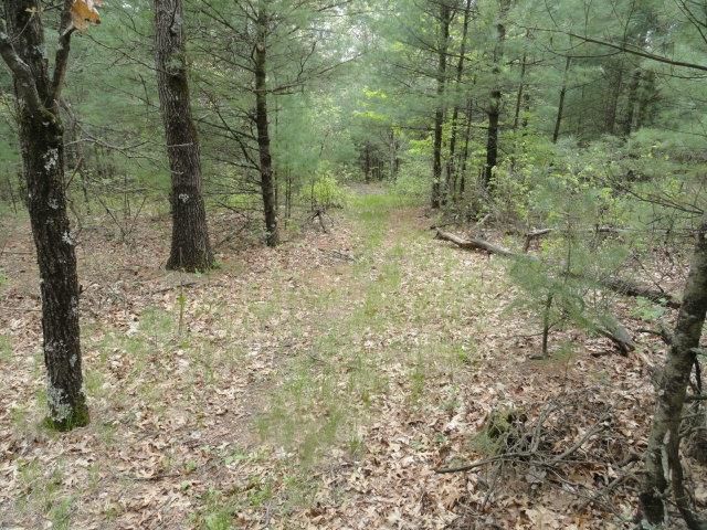 3395 8th Ave, Wisconsin Dells, WI 53965