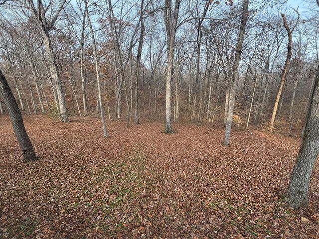 4029 Wayne 546, Greenville, MO 63944