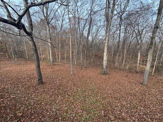 4029 Wayne 546, Greenville, MO 63944