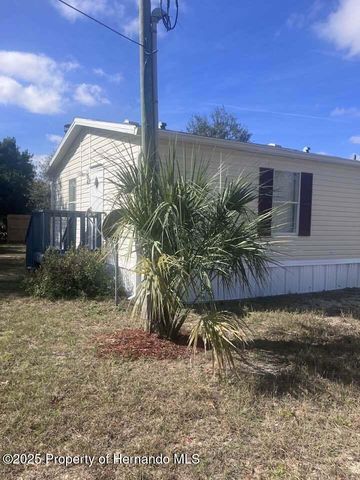 16154 Ft Myers Street, Brooksville, FL 34604