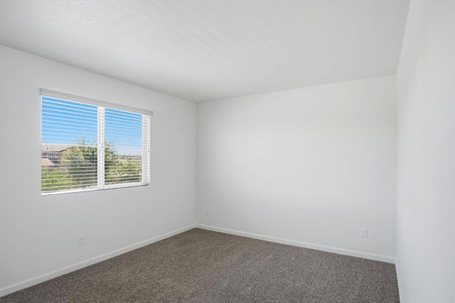 17738 Brandeis Ct, Lathrop, CA 95330