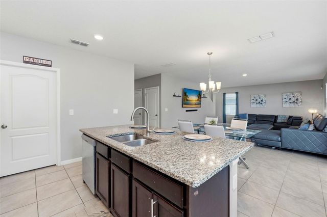 3060 BETHPAGE LOOP, Mount Dora, FL 32757