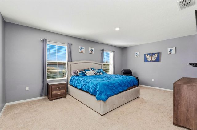 3060 BETHPAGE LOOP, Mount Dora, FL 32757