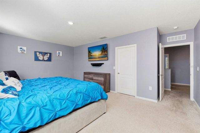 3060 BETHPAGE LOOP, Mount Dora, FL 32757