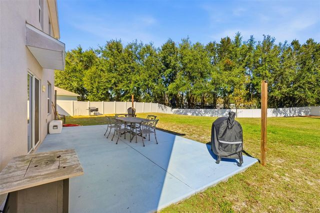 3060 BETHPAGE LOOP, Mount Dora, FL 32757