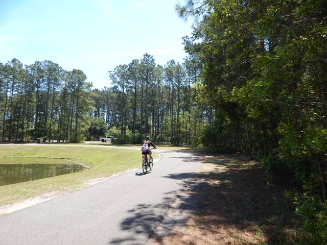 295 Shadybrook Dr. Drive, Summerville, SC 29486