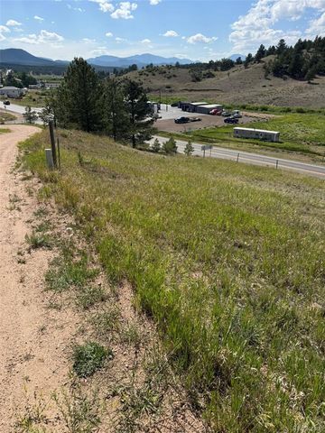 125 & 137 Hillside Drive, Florissant, CO 80816
