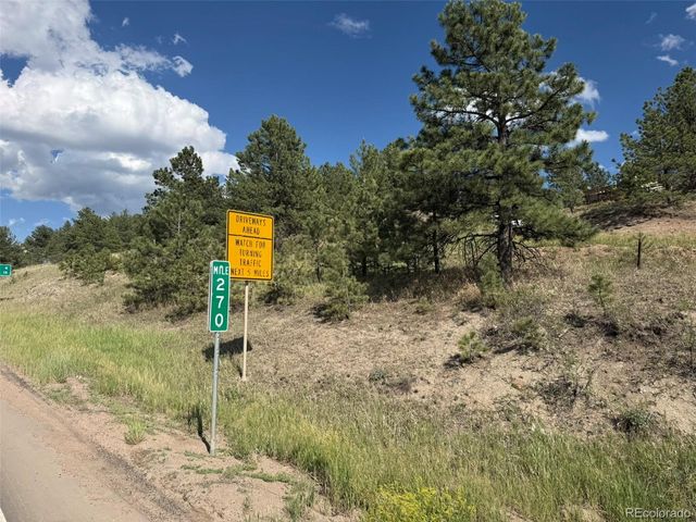 125 & 137 Hillside Drive, Florissant, CO 80816