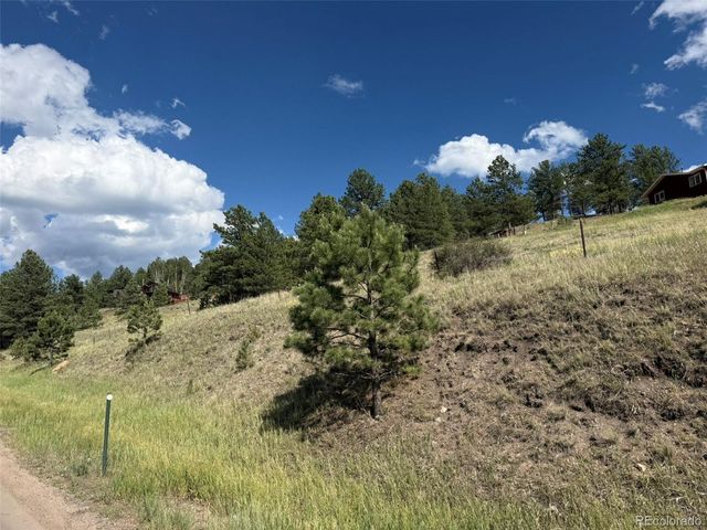 125 & 137 Hillside Drive, Florissant, CO 80816
