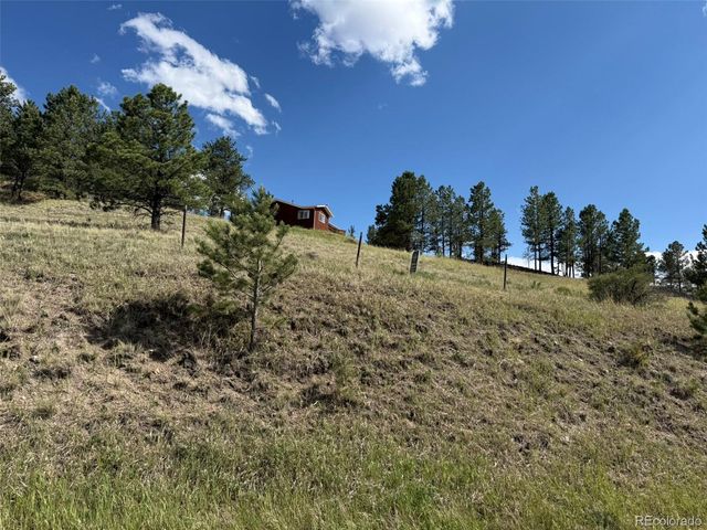 125 & 137 Hillside Drive, Florissant, CO 80816