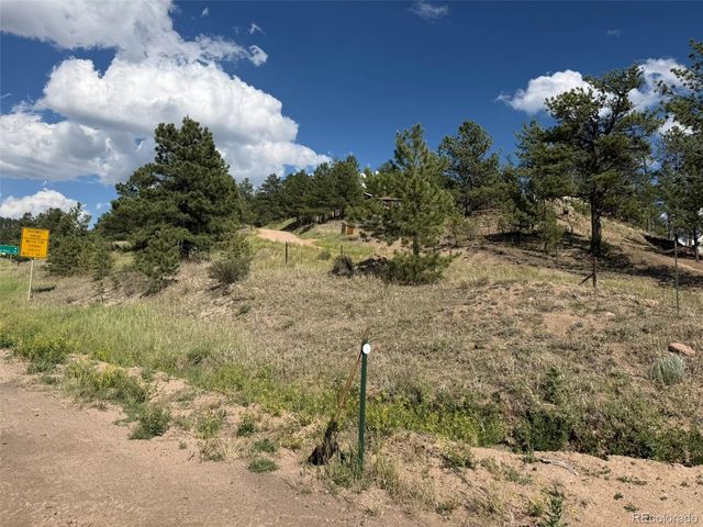 125 & 137 Hillside Drive, Florissant, CO 80816