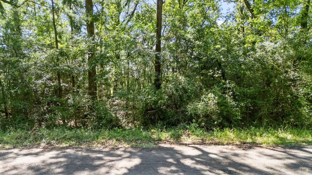 TBD Woodland Drive, Livingston, TX 77351