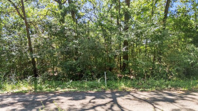 TBD Woodland Drive, Livingston, TX 77351