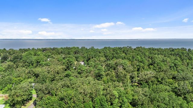 TBD Woodland Drive, Livingston, TX 77351
