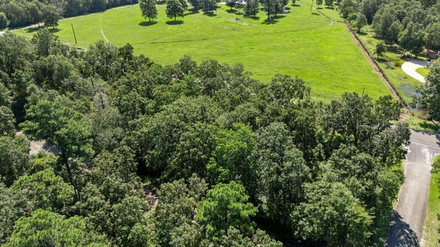 TBD Woodland Drive, Livingston, TX 77351