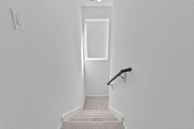 21455 Carosella Drive, New Caney, TX 77357