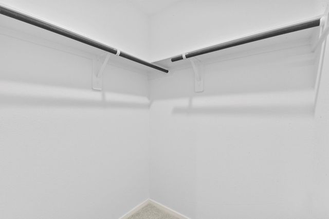 21455 Carosella Drive, New Caney, TX 77357