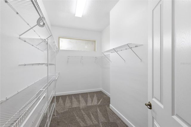 3205 KING GEORGE DRIVE, Orlando, FL 32835