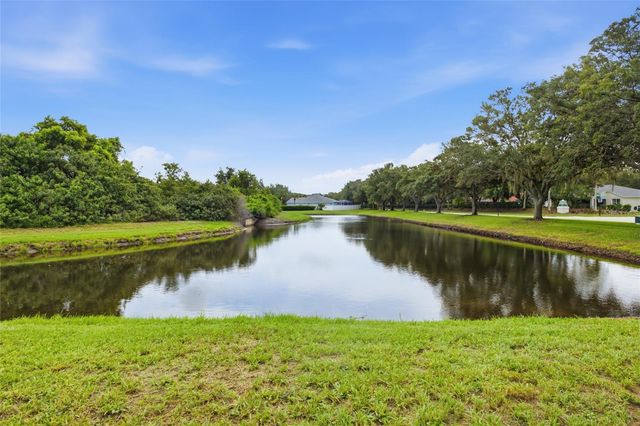 11009 WINTER CREST DRIVE, Riverview, FL 33569