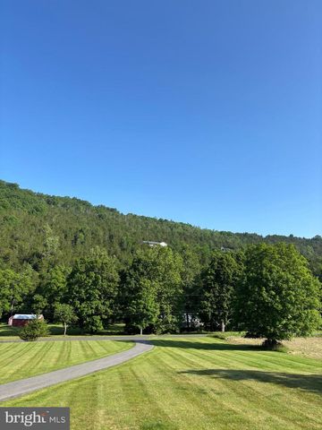 1062 MILL GAP RD, Lost City, WV 26810