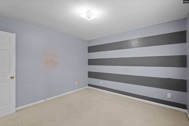 885 Bush Berry Road, Pelion, SC 29123